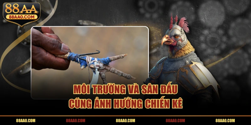 Môi trường và sân đấu cũng ảnh hưởng chiến kê